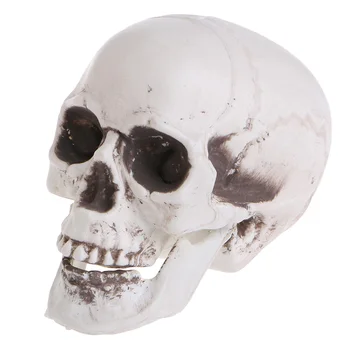 Пластиковый Мини-череп человека, декоративный скелет для головы, кофейные батончики на Хэллоуин Orna